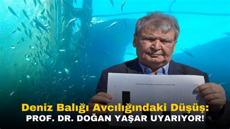 Deniz Balığı Avcılığındaki Düşüş Prof. Dr. Doğan Yaşarın Uyarısı